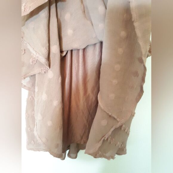 Sweet Wanderer swiss dot flounce dress - Picture 5 of 6